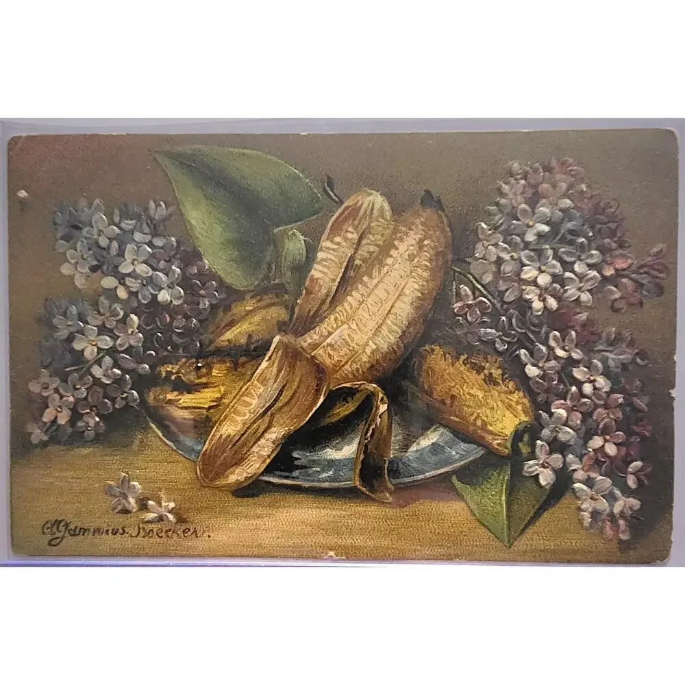 Lot Of Four Vintage Antique Postcards Decanter Fruit
